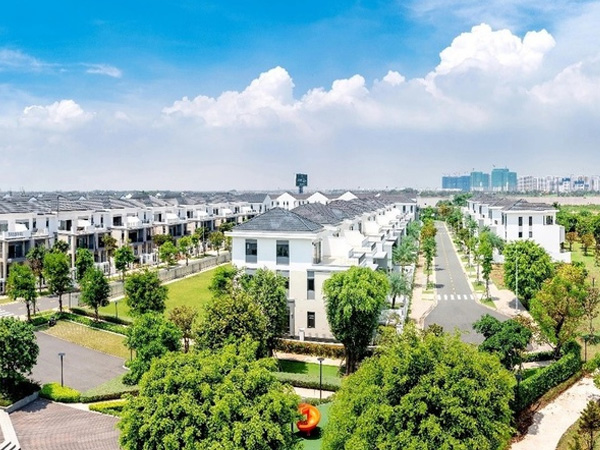 Chứng khoán phục hồi mạnh, vì sao cổ phiếu Novaland liên tục bị bán giải chấp?