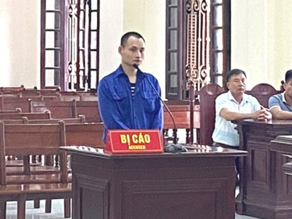 Cầm gạch ném vào mẹ đẻ, con trai lĩnh án 15 năm tù giam về tội giết người