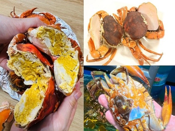Loại cua ngon nhất Việt Nam luôn 'cháy hàng' đắt cỡ nào?