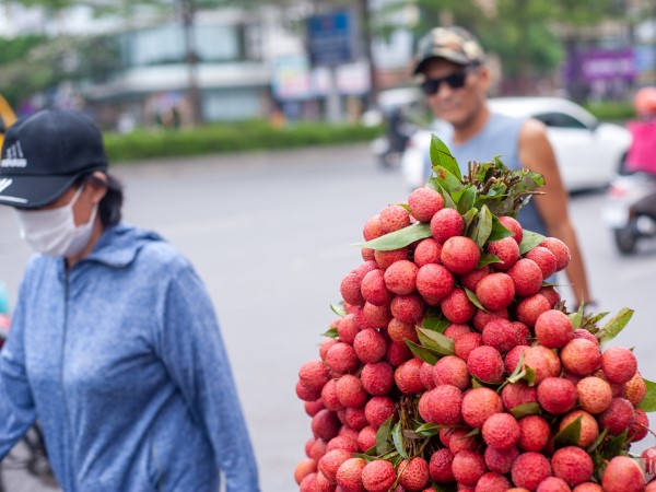 'Ma trận' vải thiều dọc các tuyến phố, chợ cóc ở Hà Nội