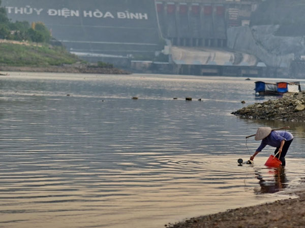 Hồ thủy điện Hòa Bình tiệm cận mực nước chết, người dân đi bắt cá dưới chân đập