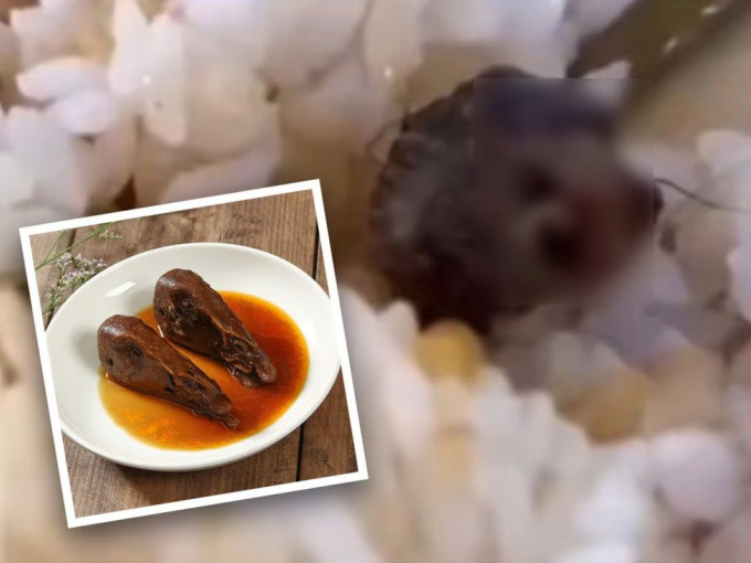 Đang ăn cơm vịt ngon lành, sinh viên điếng người khi thấy nguyên cái 'đầu chuột'