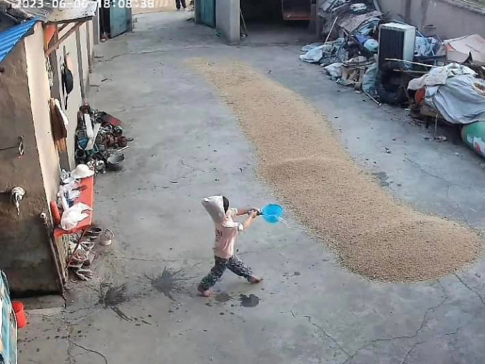 Tranh thủ nắng to mang thóc ra phơi, bố mẹ hoảng hốt khi check camera thấy bé con mang nước ra sân dội: 'Lại đẻ con gái cho thùy mị nết na đi!'