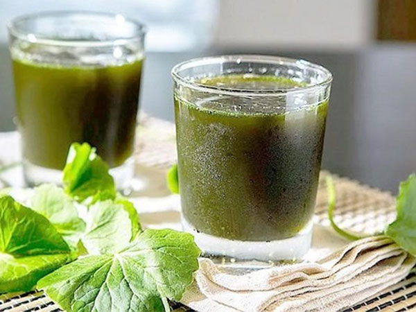 Uống nước rau má giải nhiệt phạm phải những sai lầm này rước độc, hại hơn cả thạch tín