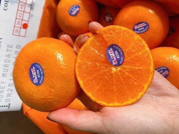 Quýt Úc đổ về chợ Việt giá rẻ khó tin, chỉ 20.000 đồng/kg