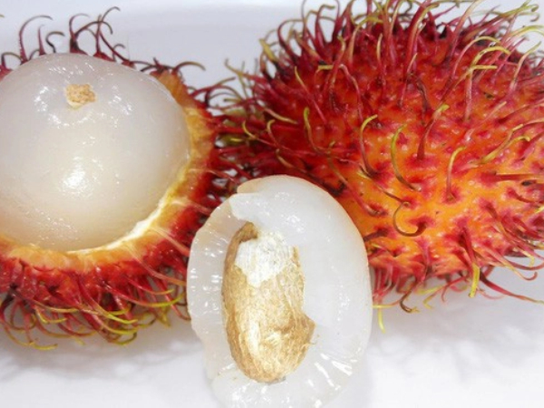 Bé 5 tuổi tử vong vì hóc hạt chôm chôm