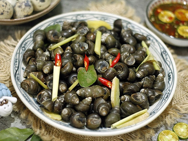 Thói quen ăn ốc ngon giòn làm tăng nguy cơ nhiễm sán đục phá lá gan