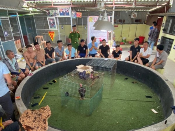 Bắc Giang: Triệt phá tụ điểm đánh bạc dưới hình thức 'Đá gà' bắt giữ 30 đối tượng