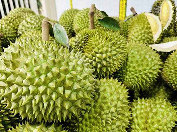 Sự thật sầu riêng giá chỉ 49.000 đồng/kg, bơ đặc sản rẻ hiếm thấy