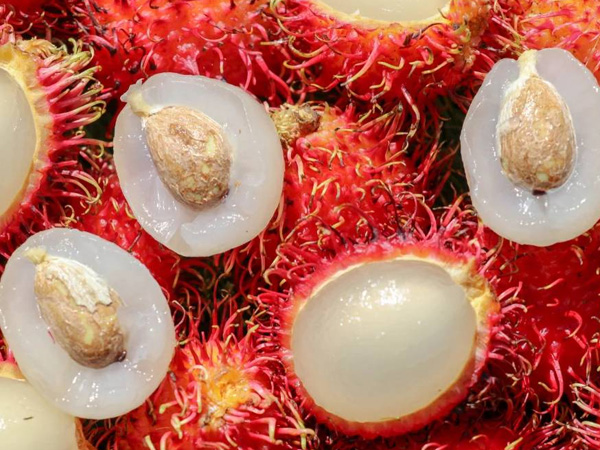 Bé gái 9 tháng tuổi tử vong thương tâm vì hóc hạt chôm chôm
