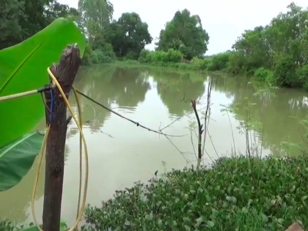 Dùng điện bẫy chuột khiến 2 người thương vong