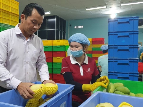 Chi phí logistics đang 'ăn mòn' lợi nhuận từ nông sản xuất khẩu