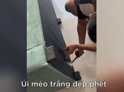 Mua ghế sofa đặt trong nhà thì nghe tiếng kêu lạ phát ra, gia chủ kiểm tra liền phát hiện điều bất ngờ