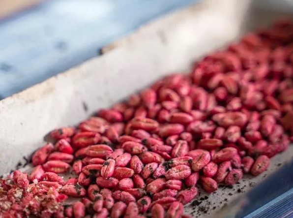Chồng đau ốm mãi không khỏi, bác sĩ và cảnh sát phát hiện âm mưu rợn người của vợ