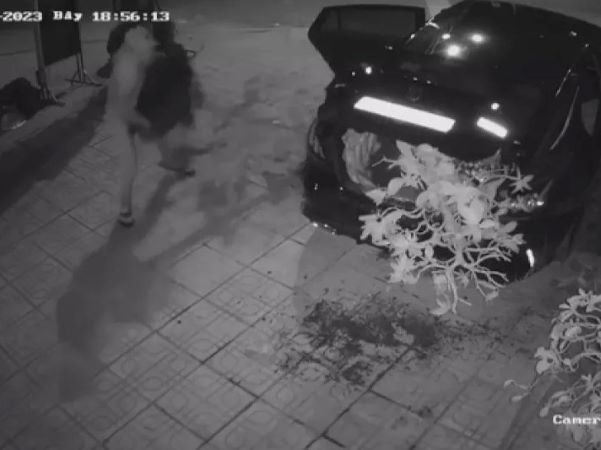 Trưởng phòng Tư pháp bị cách chức vì ăn trộm cây hoa giấy