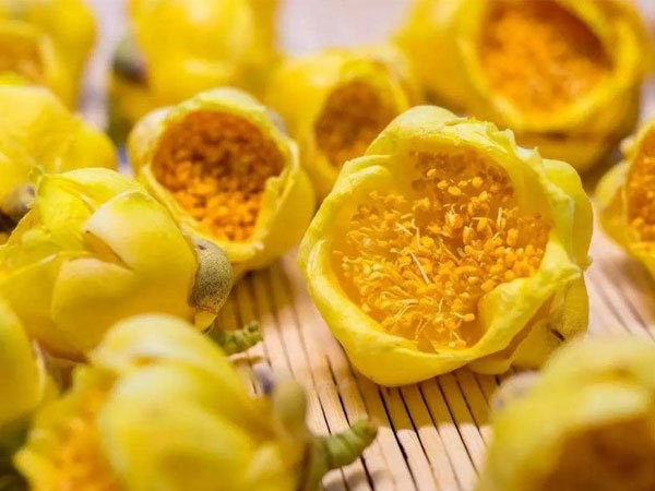 Loài 'hoa tiên' cực kỳ quý hiếm: Trung Quốc trồng bao nhiêu cũng không đủ, sang cả Việt Nam lùng mua