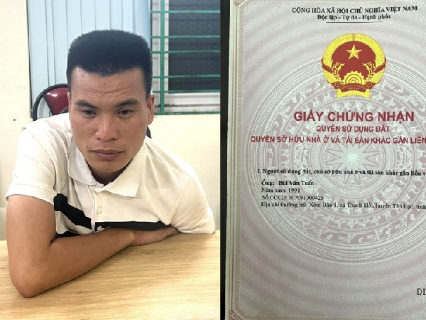 Làm sổ đỏ giả, lừa bán đất rừng chiếm đoạt tiền tỷ