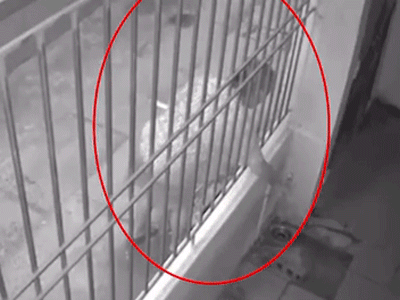 Thấy tiền nước tăng bất thường, chủ nhà kiểm tra camera mới ngỡ ngàng lý do