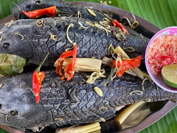 Bé gái 13 tuổi ở Kiên Giang tử vong sau khi ăn cá lau kiếng