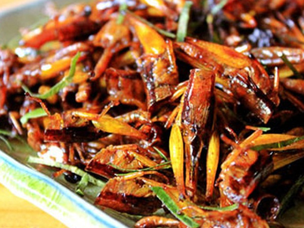 Nam thanh niên nhập viện cấp cứu sau khi ăn châu chấu rang