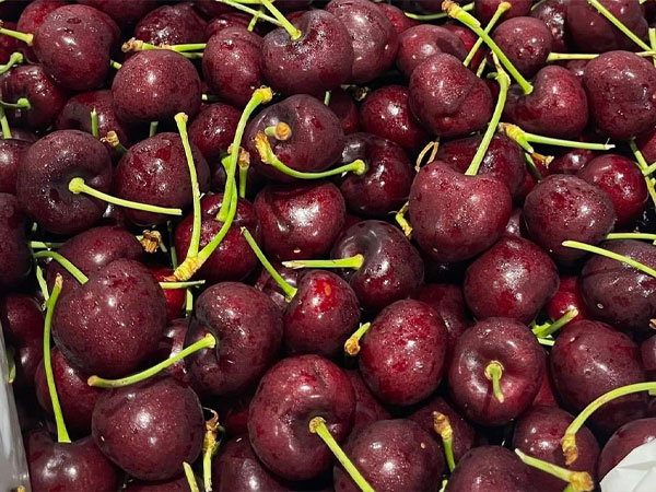Cherry nhập khẩu bán đầy chợ Việt, hàng Mỹ giá rẻ chưa từng có