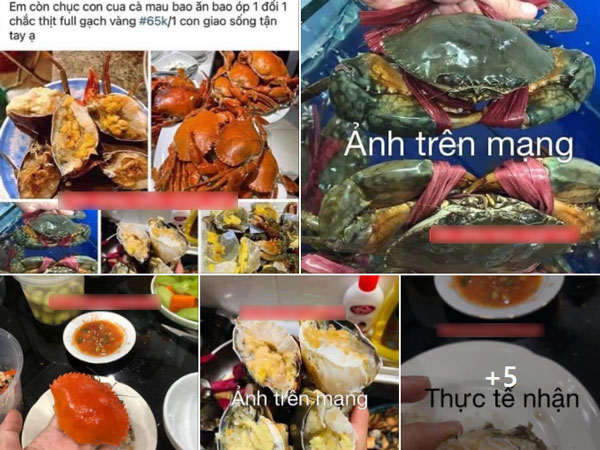 Đặt cua trên mạng hình một đằng hàng một nẻo, khách ức chế mang lên mạng phân bua thì bị khuyên một điều bất ngờ