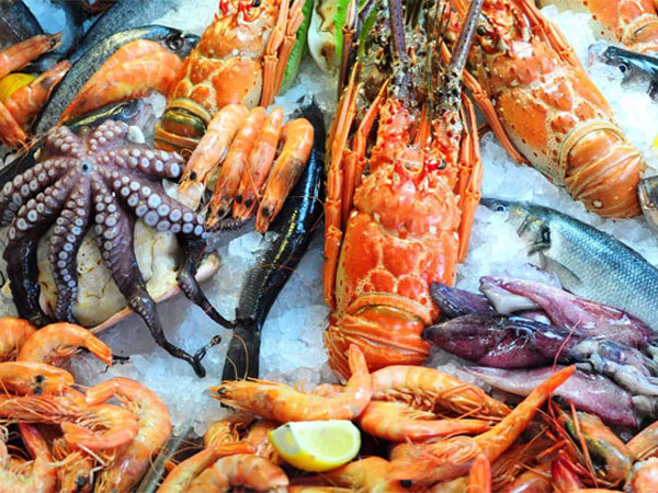 Lý do một số người dị ứng tôm nhỏ nhưng vẫn ăn được tôm hùm