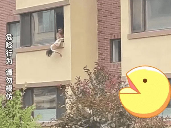 Video: Cha treo ngược con gái ngoài cửa sổ vì đi vệ sinh bừa bãi