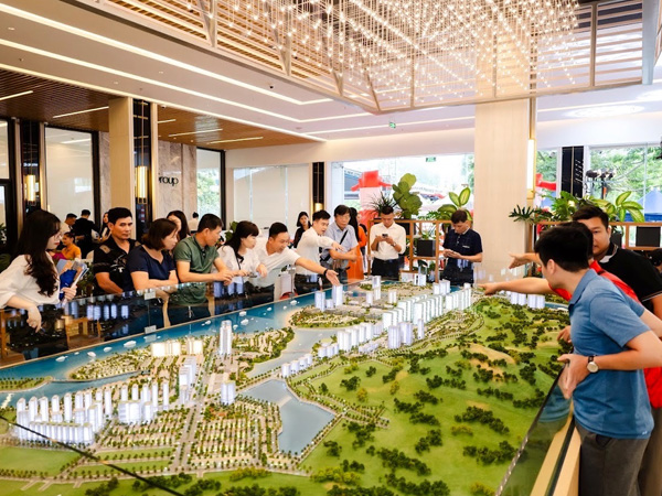 Bất ngờ khách chốt mua nửa sàn căn hộ, chục lô đất nền, lý do là đây