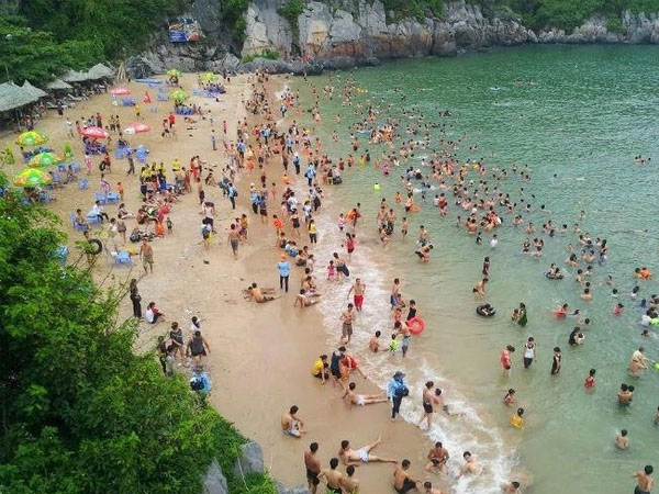 Tạm dừng hoạt động tham quan trên các vịnh thuộc quần đảo Cát Bà từ trưa 17/7