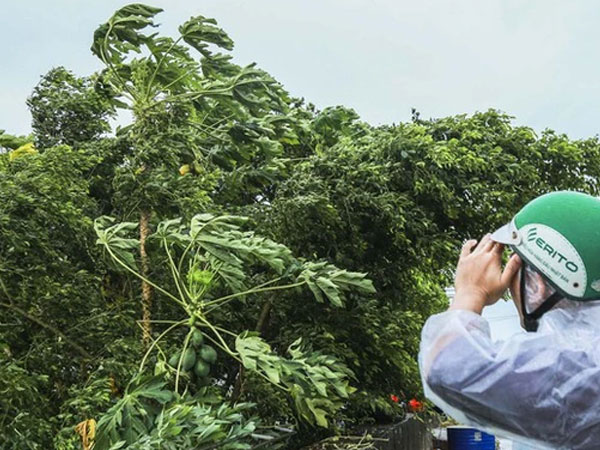 Bão số 1: Hơn 600 du khách 'mắc kẹt' tại các đảo Cô Tô, Quan Lạn, Minh Châu, Ngọc Vừng