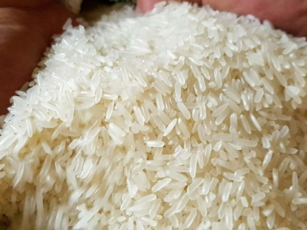 Ấn Độ chính thức cấm xuất khẩu, gạo Việt tiếp tục tăng giá