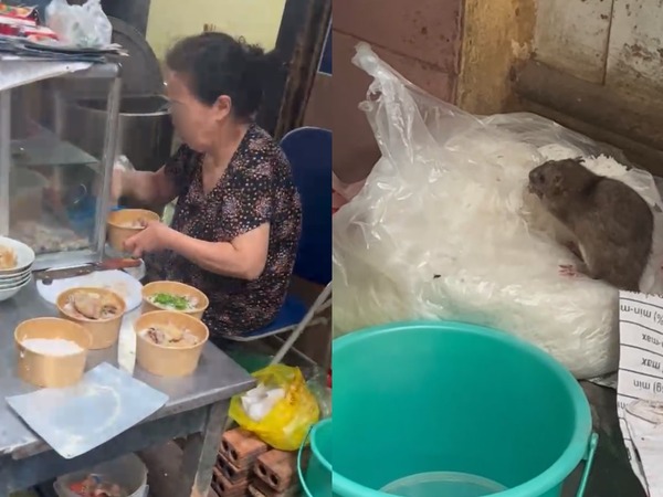 Vụ chuột cống 'ngồi' chễm chệ trên túi bún ở Hà Nội: Chủ quán suy sụp tinh thần, hãi hùng kể lại giây phút xua đuổi con chuột 'lỳ đòn'