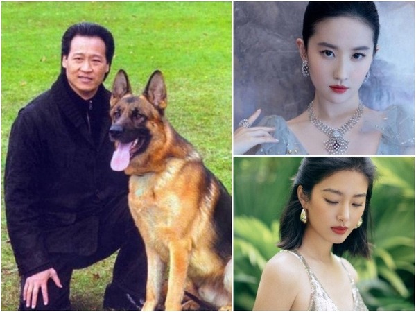 Người đàn ông chi tiền khiến Lưu Diệc Phi nổi tiếng, yêu người đáng tuổi con gái rồi 'đá', giờ ra sao?