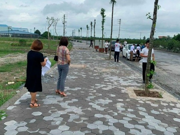 Nhiều cuộc đấu giá đất ở Hà Nội bị tạm dừng bất ngờ