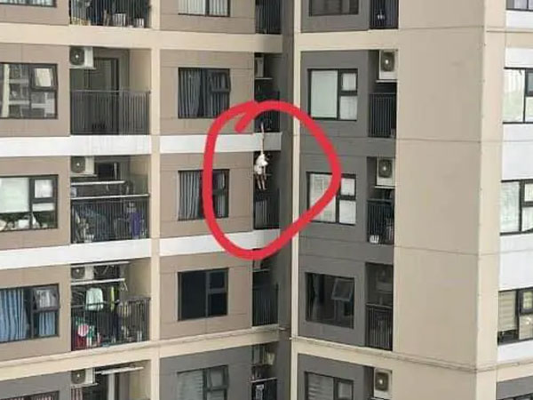 Hà Nội: Người phụ nữ lơ lửng ngoài lan can chung cư rồi rơi xuống đất