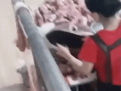 Theo dõi chủ sạp thịt heo bán hàng, thanh niên phát hiện chiêu gian dối khó ngờ