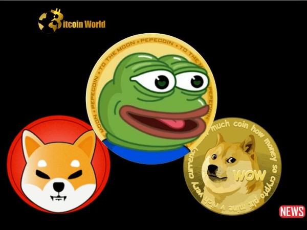 Nhà đầu tư meme coin: Đang đánh bạc hay đầu tư?