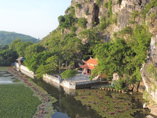 Ngôi chùa đặc biệt ở Thanh Hoá, mỗi ngày có đàn khỉ hoang rủ nhau về