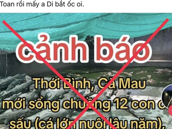 Thực hư thông tin '12 con cá sấu xổng chuồng' gây hoang mang dư luận