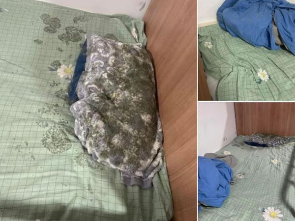 Sau 1 tháng nghỉ hè, nam sinh viên suýt ngất khi thấy giường của bạn cùng phòng