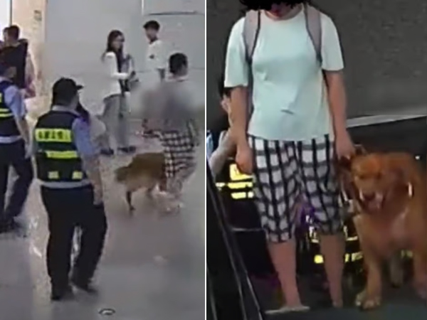 Bất ngờ với lý do nhân viên cảnh sát luôn bám theo một cô gái suốt 400 ngày