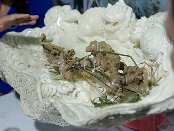 Những củ sâm Ngọc Linh quý hiếm, giá tiền tỷ gây xôn xao