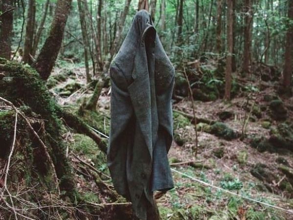 'Cánh rừng tự sát' của Nhật Bản hiện tại thế nào sau nhiều năm gây ám ảnh?