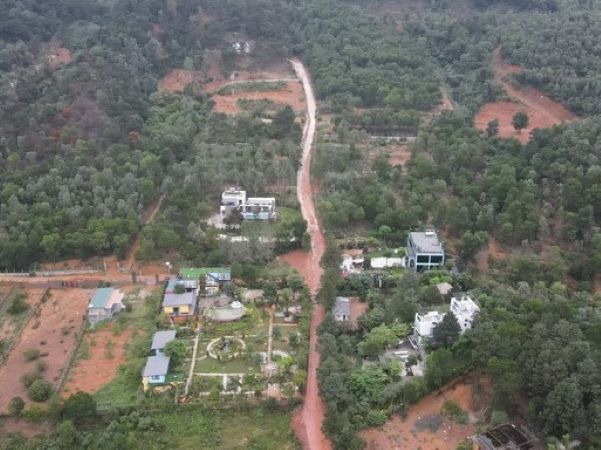Huyện nói 'không bao giờ bảo kê' dù đất rừng Sóc Sơn đang bị 'xẻ thịt' nghiêm trọng