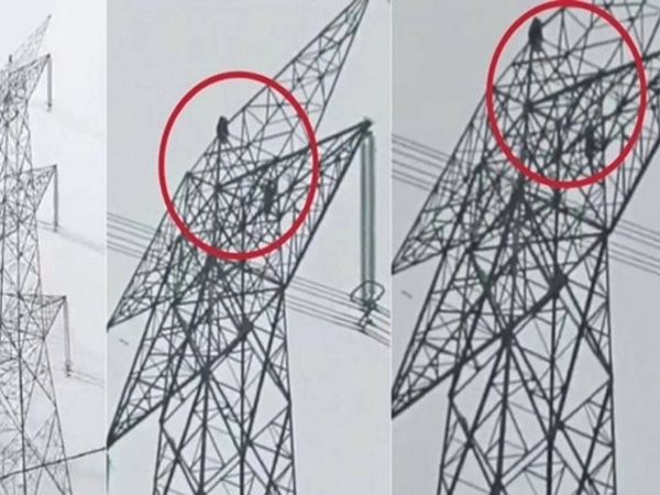 Giận bạn trai, cô gái leo lên cột điện cao thế rồi mắc kẹt