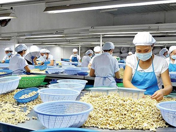 Bị lừa khi xuất khẩu: Vì sao nhiều doanh nghiệp Việt liên tục sập bẫy?