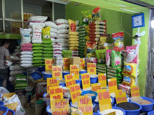 Kinh doanh 18 năm mới thấy giá gạo tăng từng ngày như bây giờ