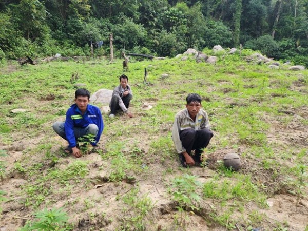 Phát hiện nhóm thợ săn táo tợn trồng cần sa ngay cạnh Trại giam Thủ Đức