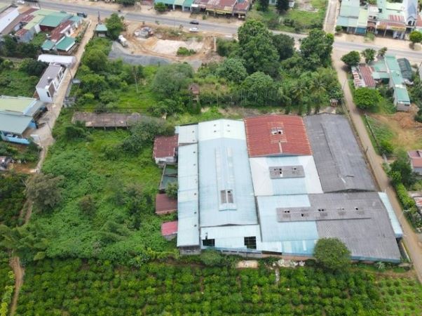 Ông Đặng Lê Nguyên Vũ muốn nhận lại 4.337 m2 đất ở Lâm Đồng